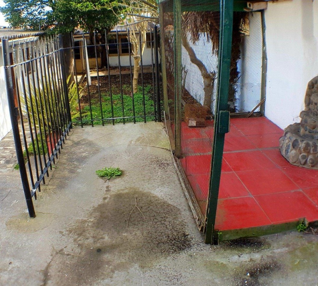 Casa de 3 Ambientes (frente), más PH de 3 Ambientes (fondo)